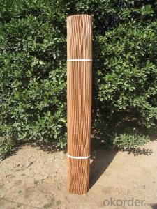 WILLOW NATURAL EXPANDABLE TRELLIS System 1