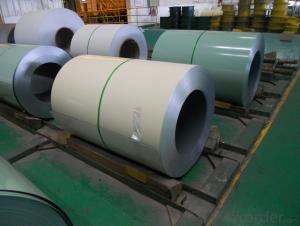 Color Coated Steel Coil (PPGI/PPGL) in High  Quality System 1