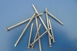 Common Nail Factory Directly Lower Price Widely Use