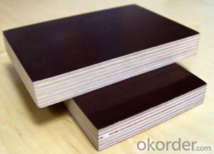 Brown Film Eucalyptus Core Plywood 18mm Thickness