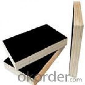 Black Film Eucalyptus Core Plywood 12mm Thickness System 1