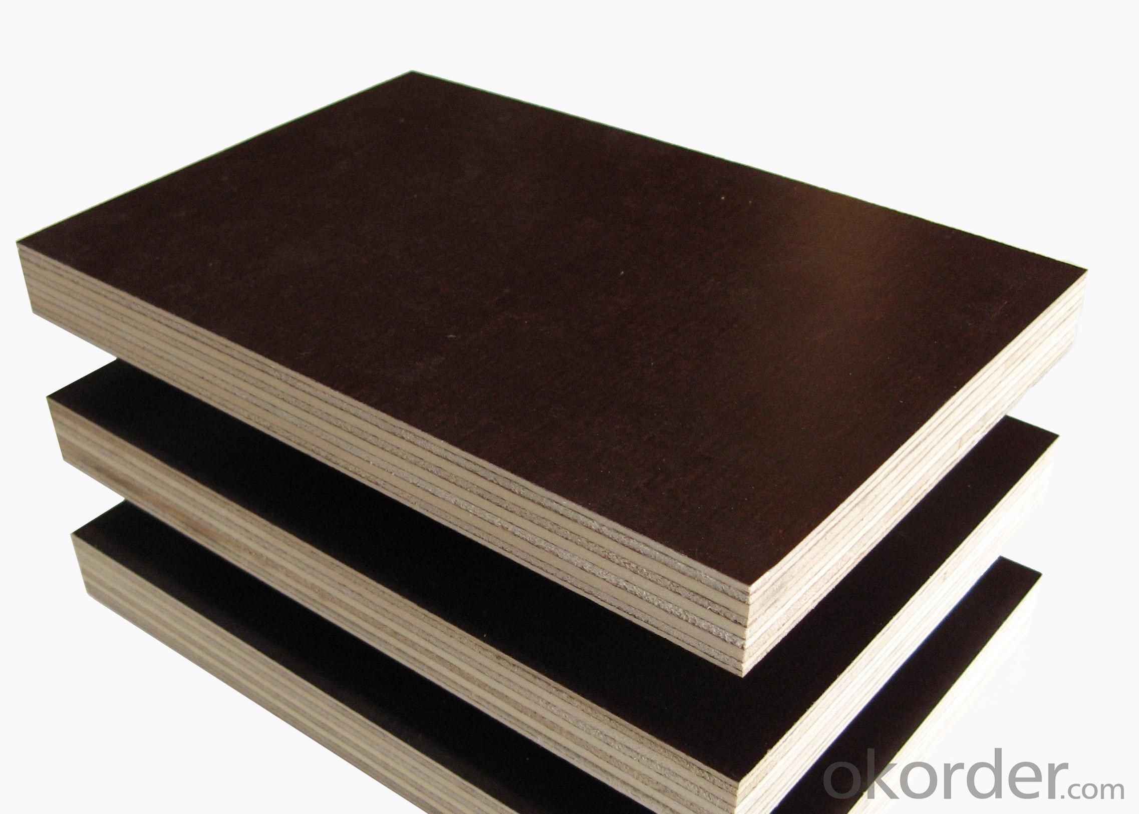 Marine Plywood Film Faced Plywood with Poplar Core and Hardwood core