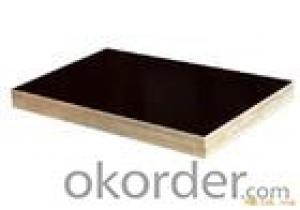 Black Film Eucalyptus Core Plywood 18mm Thickness System 1