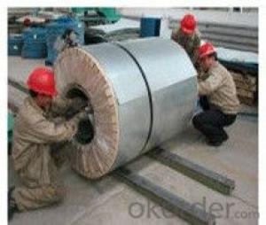 Prepainted galvanized steel coil N System 1
