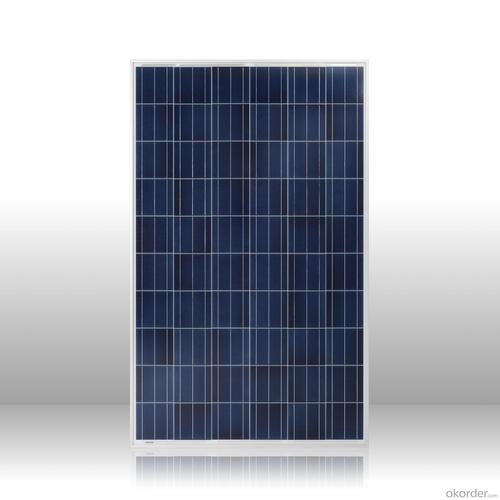 Solar Panels for Homes:Top Supplier High Efficiency Poly Solar Panel 250W System 1