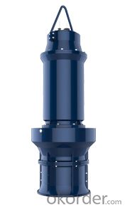 Axial Flow Propeller Pump System 1