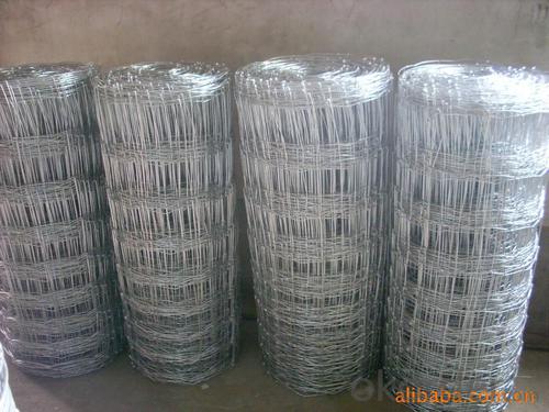 Wire Mesh for  Grassland  -- the Most Popular System 1