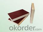 Brown Film Plywood 12mm Thickness