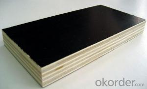 Black Film Plywood 18mm Thickness