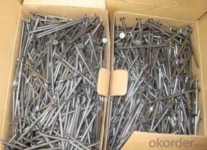 Common Nail Factory Directly Lower Price Widely Use