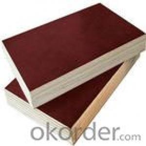 Brown Film Plywood 15mm Thickness