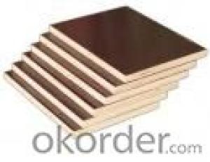 Brown Film Eucalyptus Core Plywood 15mm Thickness System 1