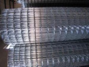 Welded Wire Mesh for Building -1/2 X 1/2