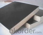 Black Film Plywood 18mm Thickness