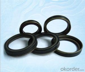 Black Rubber ring gasket oil seal suppliers from CNBM