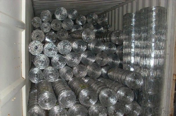 Wire  Mesh  for  Grassland -- Hot Selling