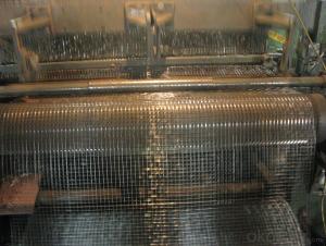 Galvanized Welded Hex Wire Fence with Different Sizes