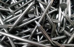 Hardware Fittings Polished Common Iron Nails with Different Sizes