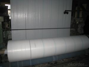 PP woven fabric  for geotextile