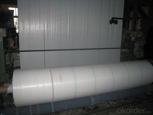 PP woven fabric  for geotextile System 1