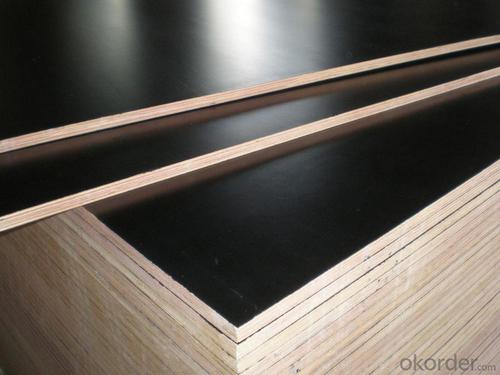 Home Depot 3/4 Black Film Faced Plywood for Concrete Formwork MR Glue ...