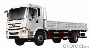 N6 Series Cargo Truck CGC1141