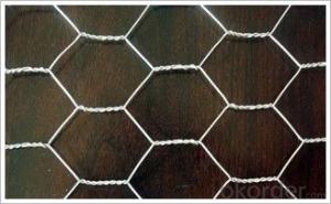 Hexagonal Wire Mesh 0.64 mm Gauge 1/2‘’ Inch Aperture System 1