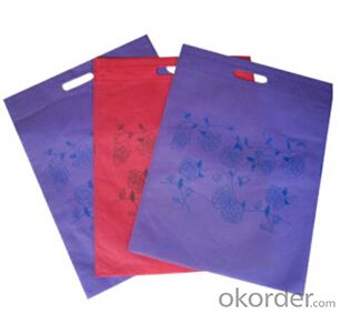 Nonwoven Bag/ Non-Woven Bag System 1