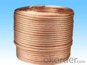bare copper clad steel wire construction System 1