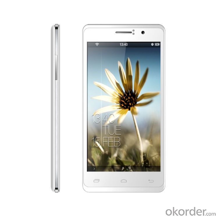 Best New Quad core 5 inch Android 4.2 Smart phone