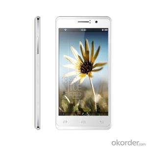 Best New Quad core 5 inch Android 4.2 Smart phone System 1