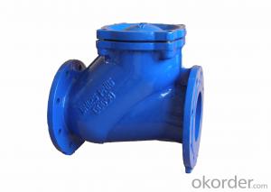 Ductile Iron Ball check valve System 1