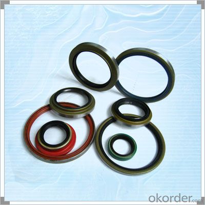Black Rubber ring gasket oil seal suppliers from CNBM System 1