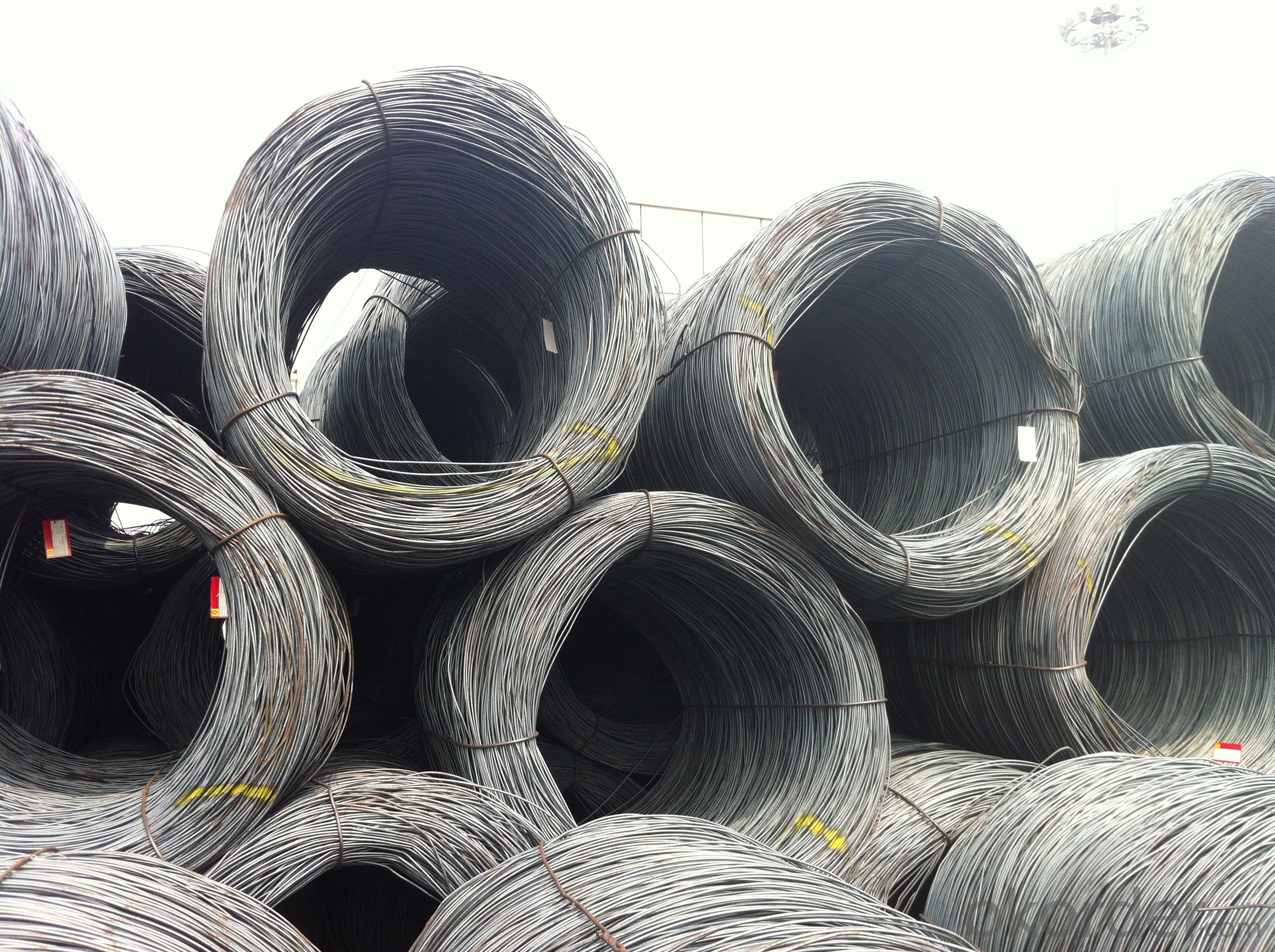 Steel Wire rods with Grade SAE1006-1018 in Best Quality