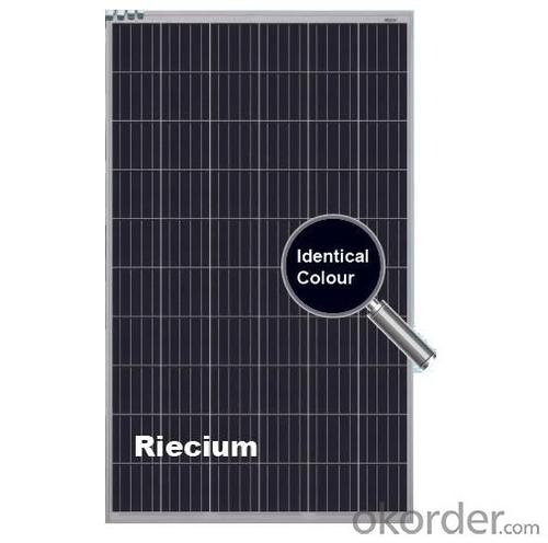 Field Solar Panels Poly Panel JAP6 60/260W/4BB/RE System 1