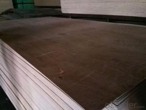 PLA/PA Wood Veneer Face Plywood Thick Board
