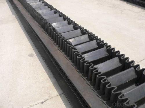 Corrugated Sidewall Conveyor Belt System 1