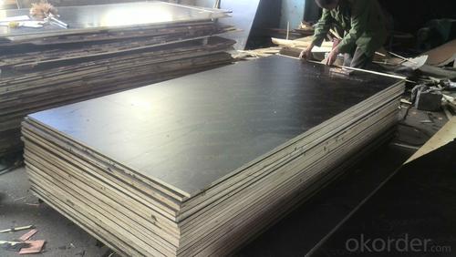 1/4 in Birch Plywood - Black Film Faced Plywood One Times Hot Presses System 1