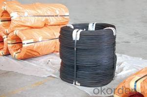 BLACK ANNEALED WIRE System 1