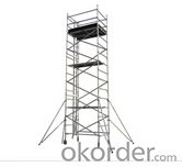 Double width uprightness climb ladder scaffolding System 1