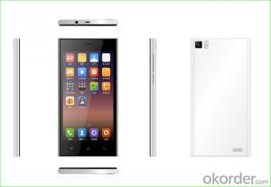 Dual SIM Dual Standby 5 Inch Super Thin Quad Core 3G Smart Phone System 1