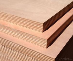 Full Okoume Wood Veneer Face and Core  Plywood Board