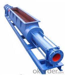 Horizontal Submersible Cement Screw Pump System 1