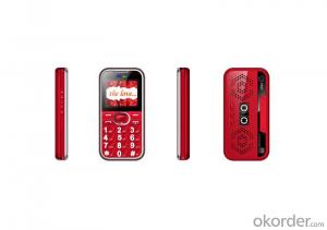 Big Keypad Senior Mobile Phone M33 System 1