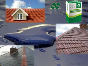 ROOF WATERPROOF---High elastic and macromolecule rubber waterproof glue System 1