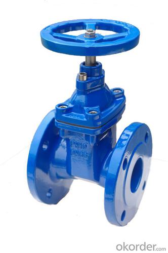 Elastic seat sealed gate valve System 1