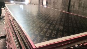 Black Film Faced Plywood  One Times Hot Presses