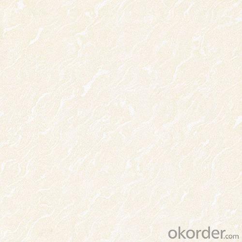 Polished Porcelain Tile Soluble Salt High Glossy CMAX558 System 1