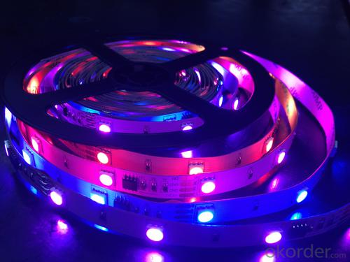 High Quality LED Strip for RGB IP20 System 1