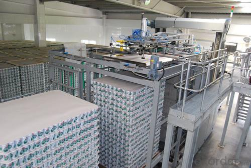 Auto Depalletizer For Beer System 1